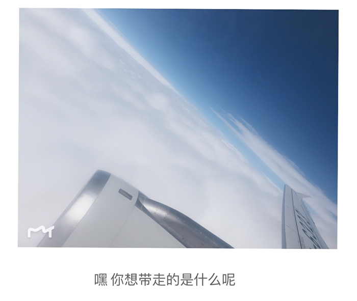 教练与戏剧 菲飞鱼鱼教练