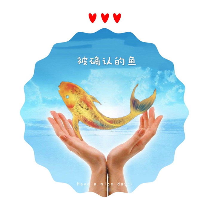 教练与戏剧 菲飞鱼鱼教练